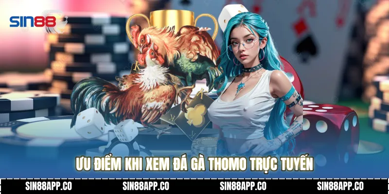 Ưu điểm khi xem Đá gà thomo trực tuyến